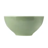 SELTMANN WEIDEN Seltmann Schüssel Beat 770 ml Porzellan Salbei