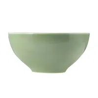 SELTMANN WEIDEN Seltmann Schüssel Beat 770 ml Porzellan Salbei