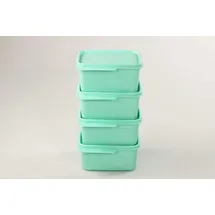 Tupperware Frischemeister Kühlschrank mint 500 ml 4-teiliges Set