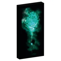 Joy Toy AG/SpA Harry Potter Canvas mit 6 LED Lichtern