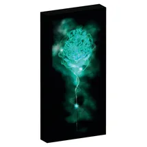 Joy Toy AG/SpA Harry Potter Canvas mit 6 LED Lichtern