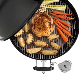 Weber iGrill Halterung