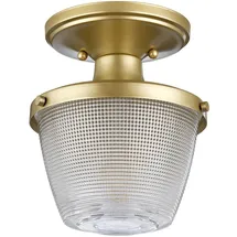 Elstead Lighting Dublin 1 E27 Lackiertes Naturmessing IP44