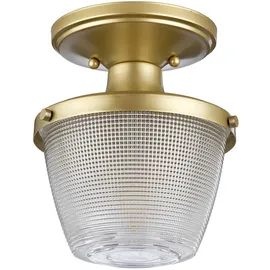 Elstead Lighting Dublin 1 E27 Lackiertes Naturmessing IP44