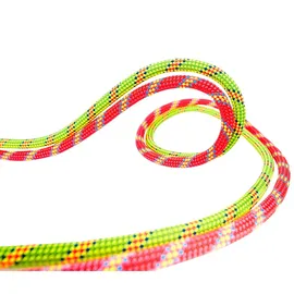 Beal Kletterseil 50 m Grün/Pink