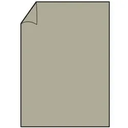 Briefbogen Paperado A4 100g taupe met. RÖSSLER 164001411  210x297mm