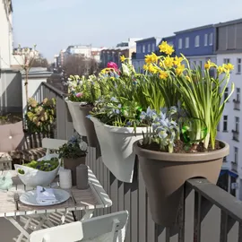 Relaxdays Bewässerungskugel 2er Set Ø 6 cm gelb