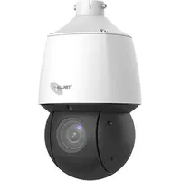 Allnet IP Kamera zbh. Pendant mount/Decken for ALL-CAM2498-LEP, Netzwerkkamera,