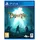 The Bard's Tale IV: Director's Cut