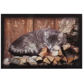 CaliCosy oKu-Tex Design Fußmatte Happy Home schlafende Katze, lustiges & niedliches Motiv, rutschfest & waschbar, Deko Dekorativ, grau, 40 x 60 cm