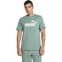Puma United Tee grün XL