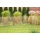 iWerk Staketenzaun Haselnuss 60 x 300 cm