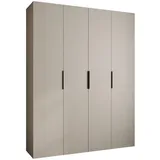 abiks möbel Drehtürenschrank COMO 190 x 245,5 x 50 cm Schwarz