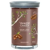 Yankee Candle Praline & Birch Kerze