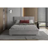 Fdm APOLLO 120 x 200 cm Grau