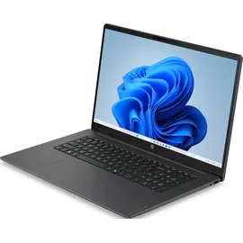 HP OmniBook 3 17-dk0132ng Intel Core 3 100U 8 GB RAM 512 GB SSD Win11 Home
