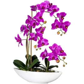 Creativ green Kunstorchidee Phalaenopsis Orchidee Phalaenopsis, Creativ green, Höhe 60 cm, im Keramikschiff lila