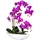 Creativ green Kunstorchidee Phalaenopsis Orchidee Phalaenopsis, Creativ green, Höhe 60 cm, im Keramikschiff lila