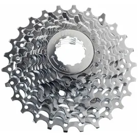 Sram PG-1070 Kassette Silber 10-fach 12-27