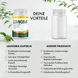 biovana Herbiotica Kapseln 90 St.