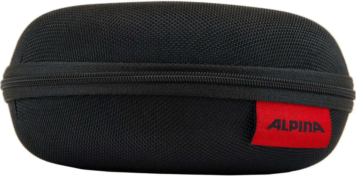 Alpina Case black (95) one size