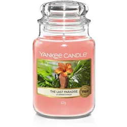 The Last Paradise 623g
