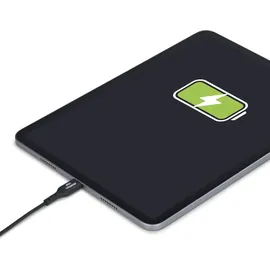 Startech StarTech.com 30cm USB-A auf USB-C Ladekabel, Laden & Synchronisieren, 3A, USB 2.0, TPE-Mantel Schwarzes USB Schnellladekabel