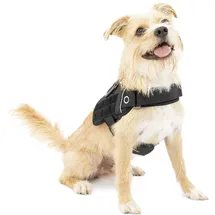 Kurgo RSG Townie Hundegeschirr schwarz S