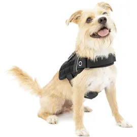 Kurgo RSG Townie Hundegeschirr schwarz S