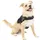 Kurgo RSG Townie Hundegeschirr schwarz S