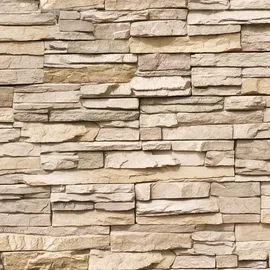 Schulte Duschrückwand Beige
