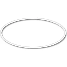 Wiltec Sunsun Ersatzteil Für Cuv-218 Teichklärer – O-ring 2 – Für Teichfilter, Uv Leuchtmittel, Uvc Klärer Zubehör