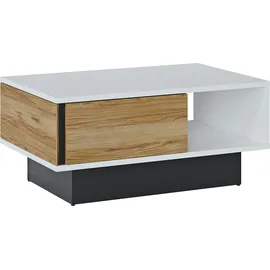 INOSIGN Catania Schwarz Eiche 100 x 64 cm