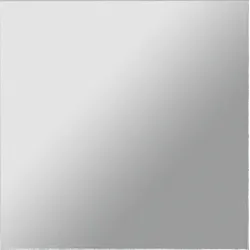 Gira Ersatzscheibe 009927