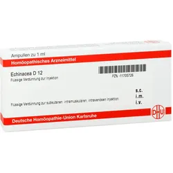 Echinacea D12