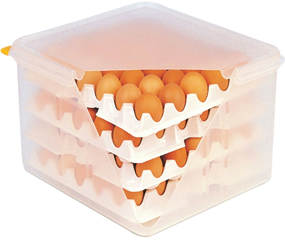 Stalgast Eierbox inklusive acht Eiertabletts