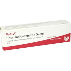Wala Rhus toxicodendron Salbe