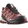 Salomon XA Pro 3D V9 GTX Damen Cow Hide/Black/Faded Rose 40