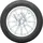 Toyo Celsius AS2 195/55 R15 89V XL