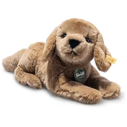 Steiff - 076886 Teddies for tomorrow Lenny Labrador, 23 cm