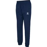 hummel Hmltravel Sporthose Blau M