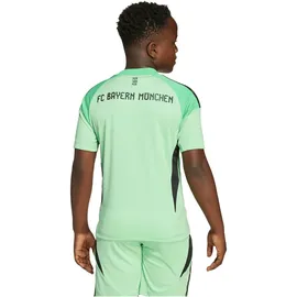 adidas FC Bayern München Torwarttrikot 2025/26 Kinder grün Gr. 176