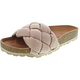 Verbenas Rai Roda rose 38