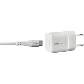 Intenso Power Adapter 30W USB-C mit USB-C-Kabel