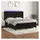 vidaXL Boxspringbett mit Matratze & LED Schwarz 180x200 cm Samt