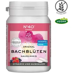 Energie Kaugummi nach Dr.Bach 40 St