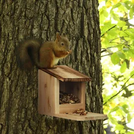 Relaxdays Eichhörnchen Futterhaus, Holz, Klappdach, Sitzplattform, Eichhörnchenhaus, HxBxT: 17,5 x 12 x 25 cm, Natur