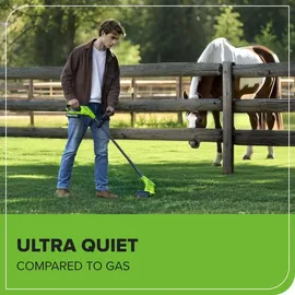 Greenworks ST24B216-01 inkl. 1 x 2,0 Ah