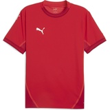 Puma Puma, teamFINAL Jersey (XL), Rot, XL