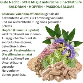 Vitalleben GUTE Nacht - SCHLAF Gut Kapseln 360 St.